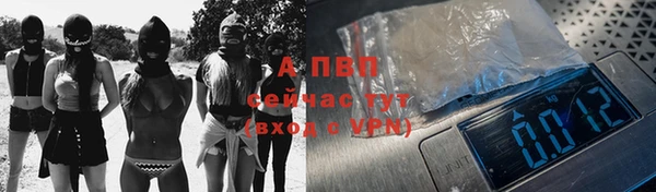 СК Зеленокумск