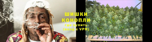 СК Зеленокумск