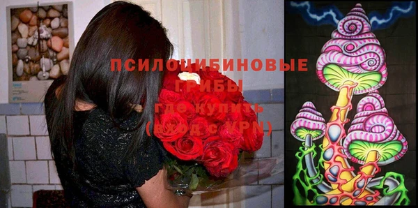 СК Зеленокумск
