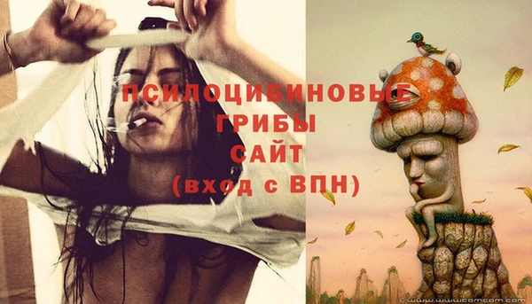СК Зеленокумск