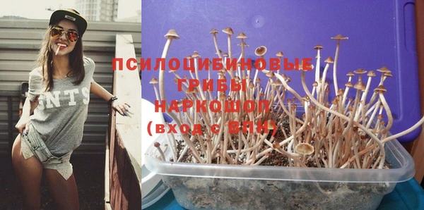 первитин Заволжье