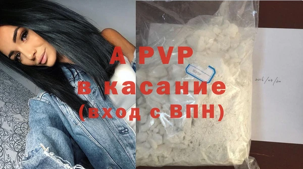 СК Зеленокумск