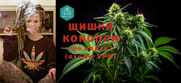 spice Заводоуковск