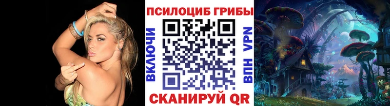 Псилоцибиновые грибы прущие грибы  Купить  Карачев 